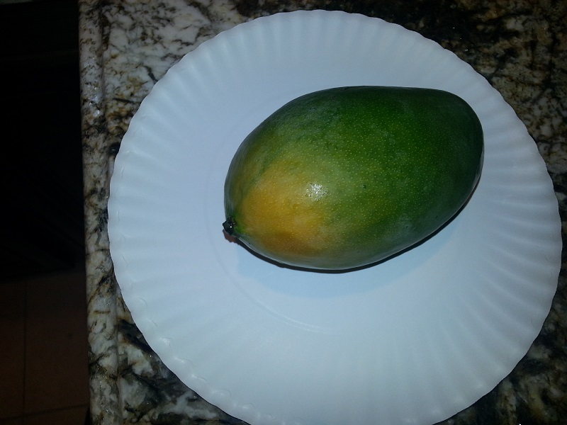 First Ever Mango from back-yard