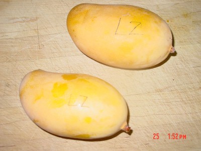 Lemon Zest Mango - Unbelievable!
