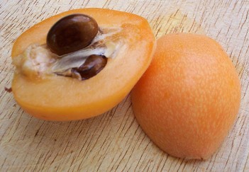 Loquat fruit - Cross section of Big Jim 