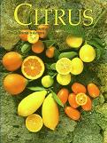All About Citrus And Subtropical Fruit