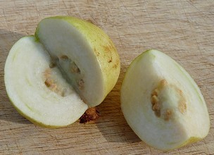 S.E. Asian White Guava Fruit